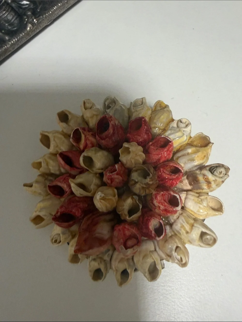 Vintage Seashell Brooch